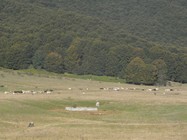 RIMG3735 (-1x-1, -1 bytes)