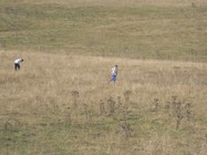 RIMG3781 (-1x-1, -1 bytes)