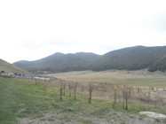 RIMG3801 (-1x-1, -1 bytes)