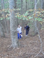 RIMG3829 (-1x-1, -1 bytes)