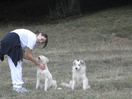 RIMG3831 (-1x-1, -1 bytes)