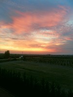 SAM_5078 (-1x-1, -1 bytes)