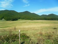 SAM_5079 (-1x-1, -1 bytes)