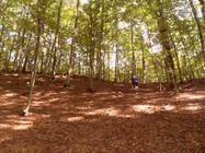 SAM_5199 (-1x-1, -1 bytes)