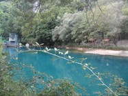 SAM_5220 (-1x-1, -1 bytes)