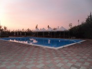 SAM_5239 (-1x-1, -1 bytes)