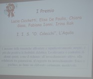 Immagine 063 (1000x856, 65,9 kilobytes)